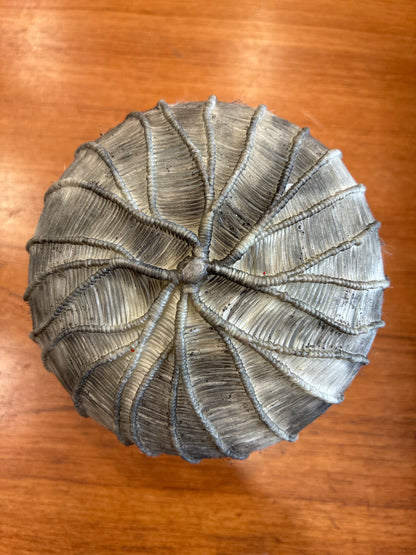 Original Glassblown Urchin Vessel Web Wrapped with Bead Adornment