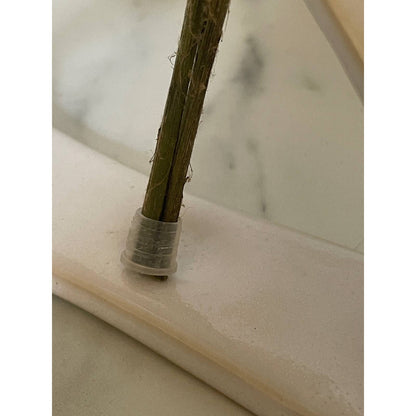 Cream White Forget Me Knot Dried Flower Sprig Display Vase