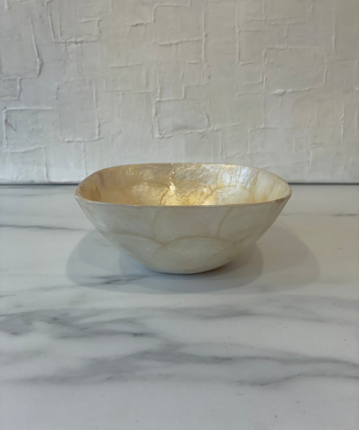 Vintage Capital Shell Catchall Bowl - Square
