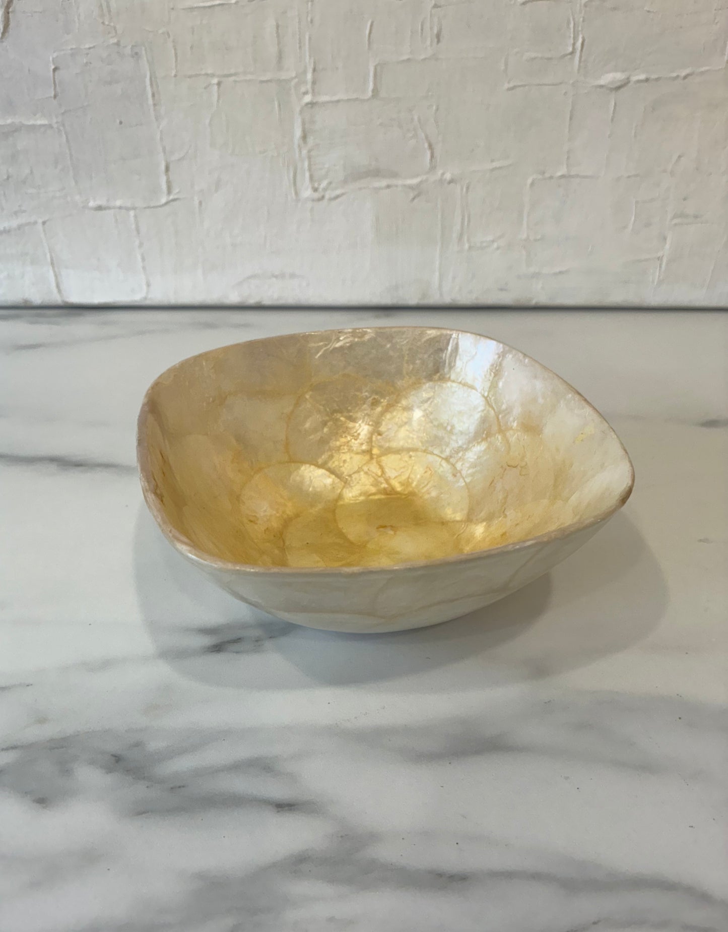 Vintage Capital Shell Catchall Bowl - Square