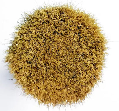 Ergonomic 2” Palm Handle Boar Bristle Wax Brush