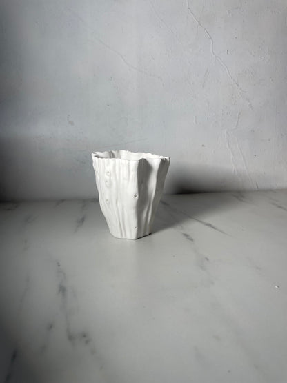 Fine Bone China Cactus Votive