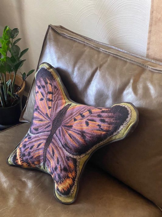 Butterfly Pillow
