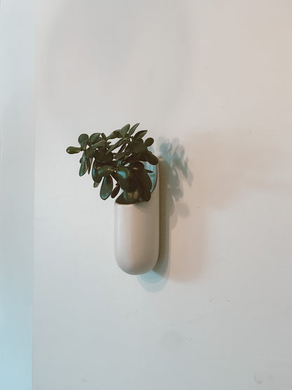 Shane Powers West Elm Ceramic Wall Planter