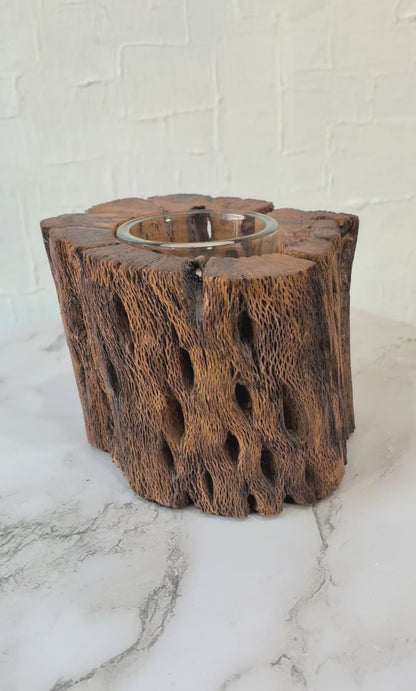 Pair of Cholla Wood Tea Light Candle Holders with Glass Inserts
