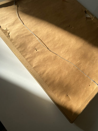 Egyptian Papyrus Painted Nature Scene - Framed, Signed Art