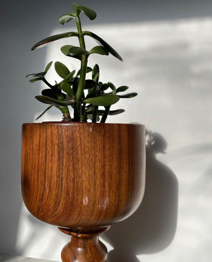 Bermuda Cedar Wood Goblet Planter