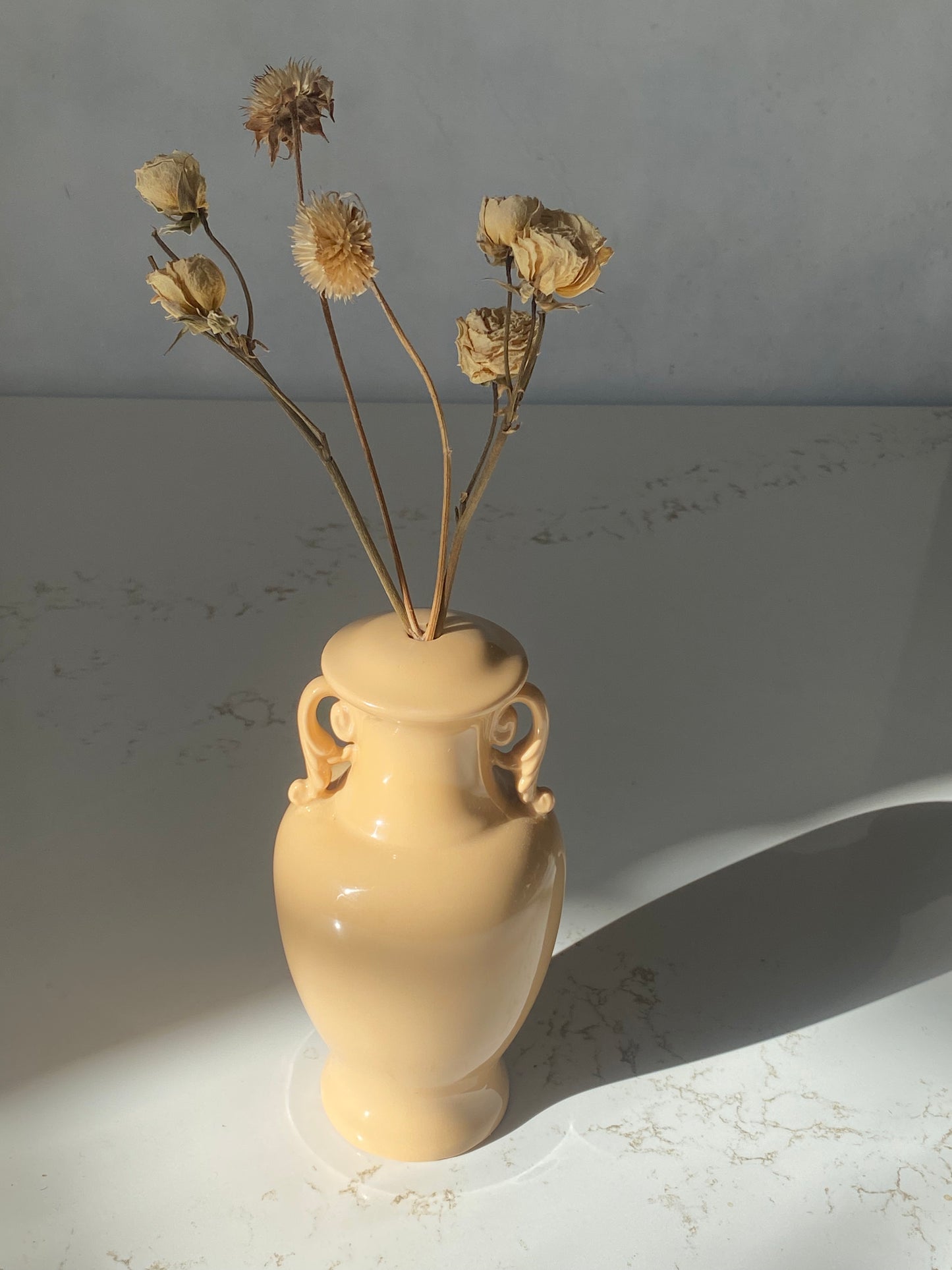 Peach Dried Sprig Vase